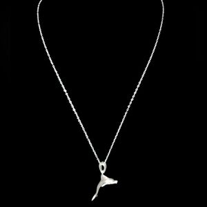 Sterling Silver Necklace with Dolphin Pendant